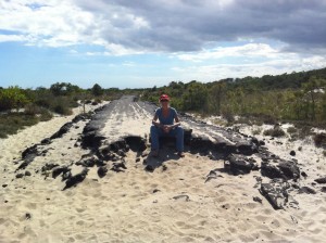 The remnants of Baltimore Boulevard on Assateague Island, destroyed in the Great Storm of 1962.