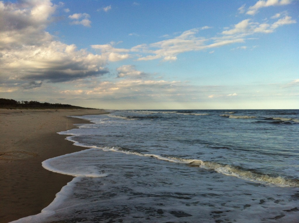 Assateague Island Photo: Margie Smith Holt