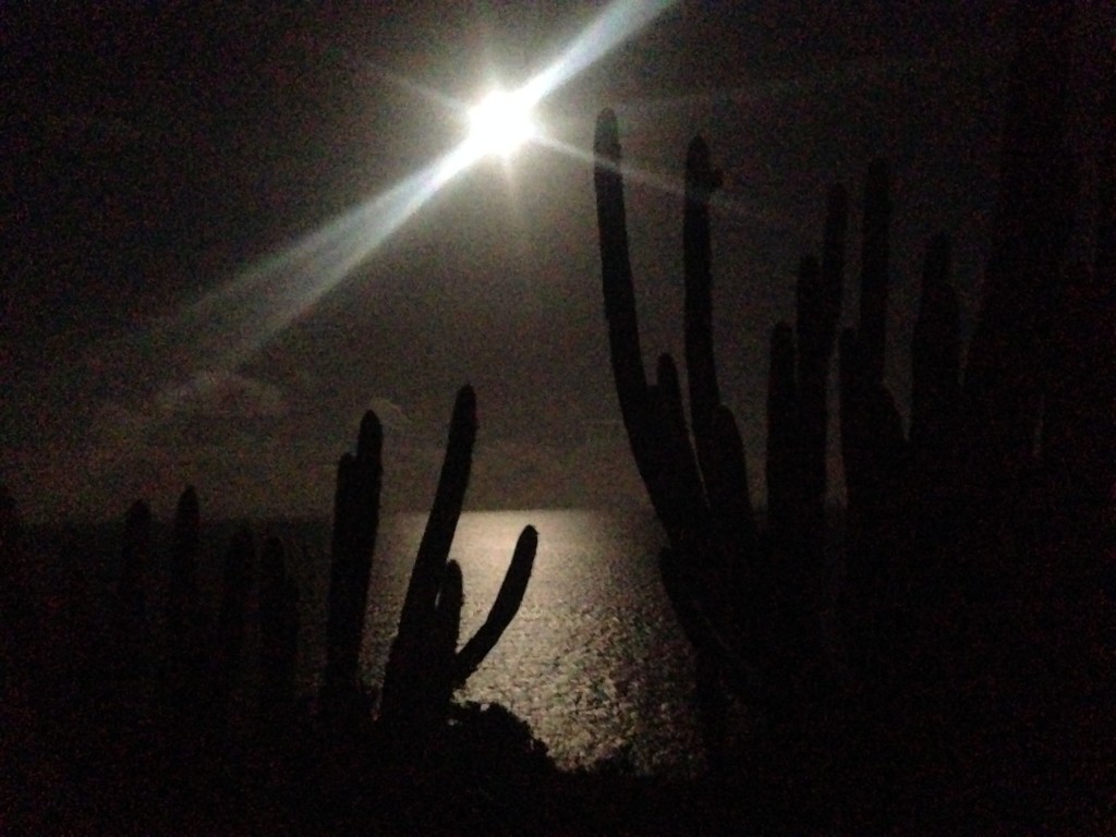 Hike to the summit at Ram Head under a full moon at Virgin Islands National Park.