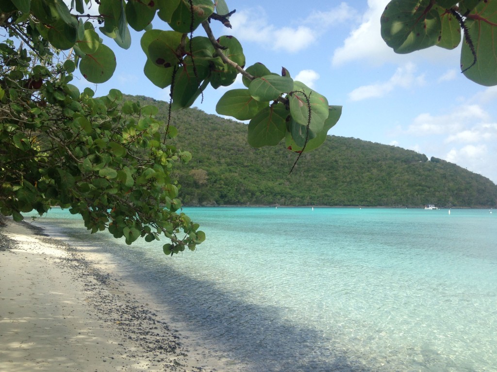 Under the sea grapes at Maho in Virgin Islands National Park.