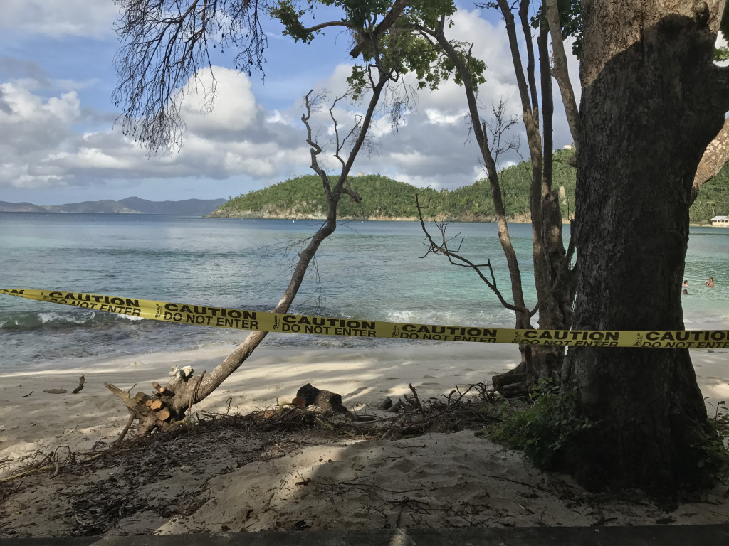 Hawksnest is one of the few National Park beaches officially open 11 weeks after Hurricane Irma destroyed the island of St. John. 