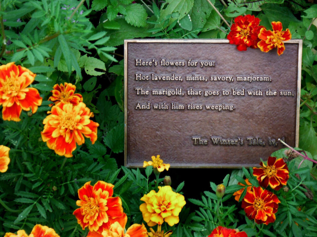 Larry Boes, Senior Gardener at Central Park's Shakespeare Garden in New York City retires.